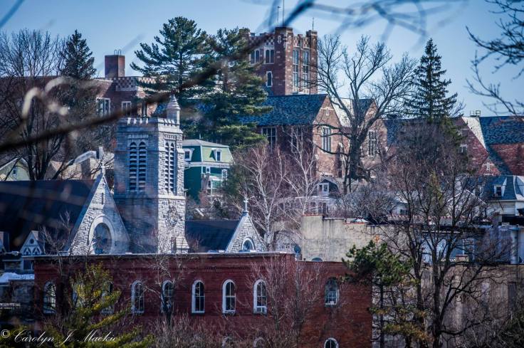 Carolyn Mackie Oss Pic